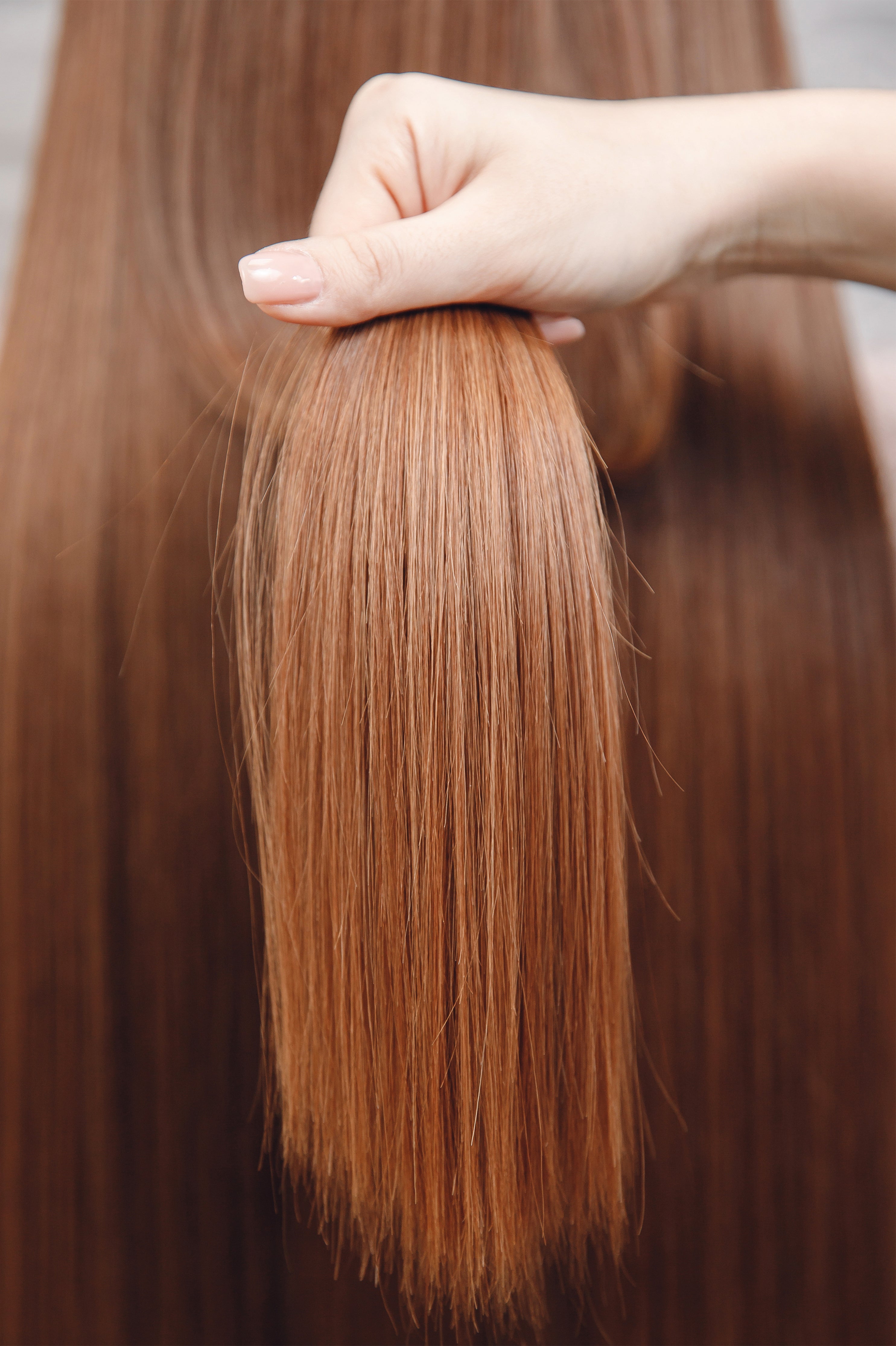 Photograph of manicured hand holding a section of reddish brown straight, long hair in focus