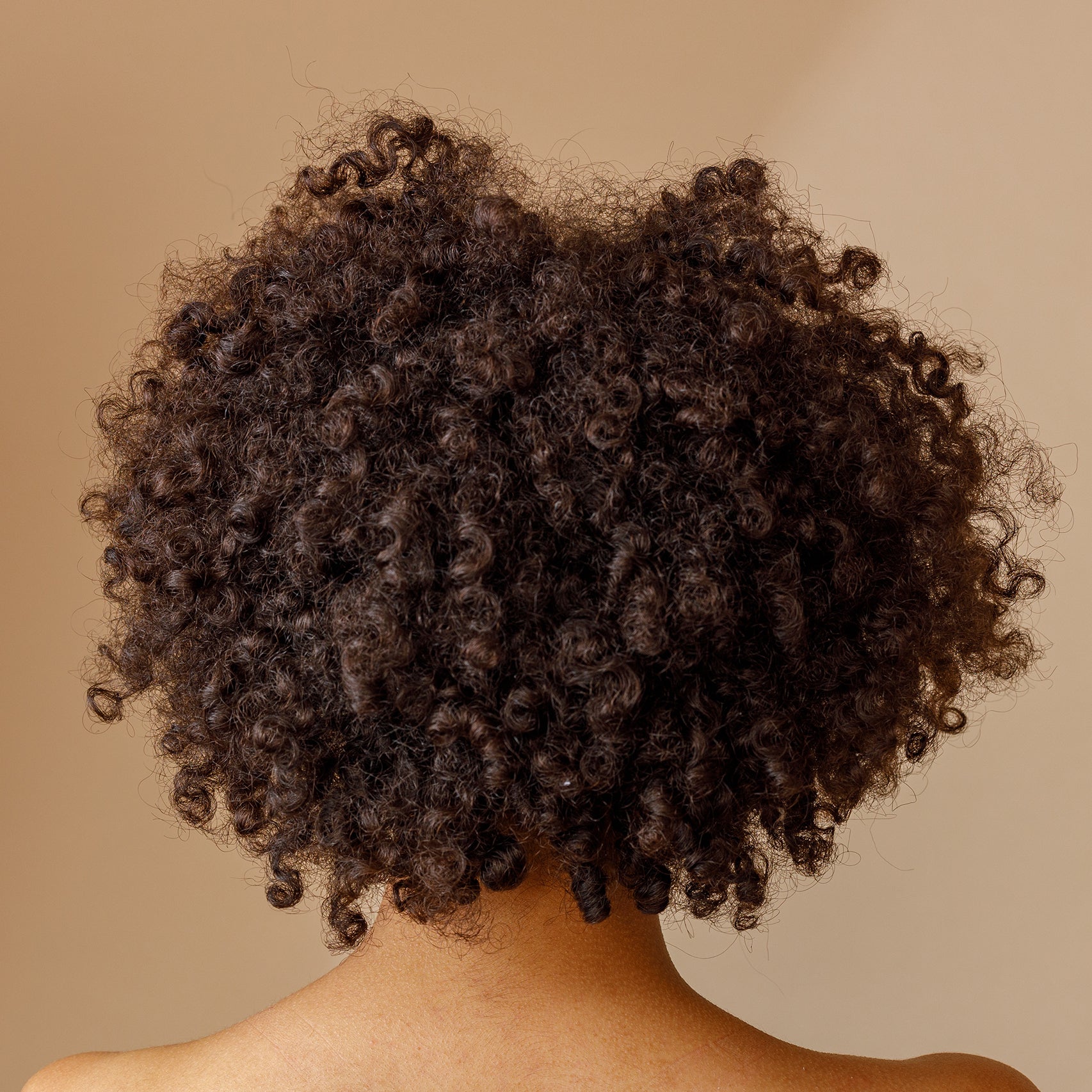 photograph of the back of a woman's hair that is short, curly, and black