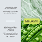 Heat Protect Blow Out Serum - The Hair Method®